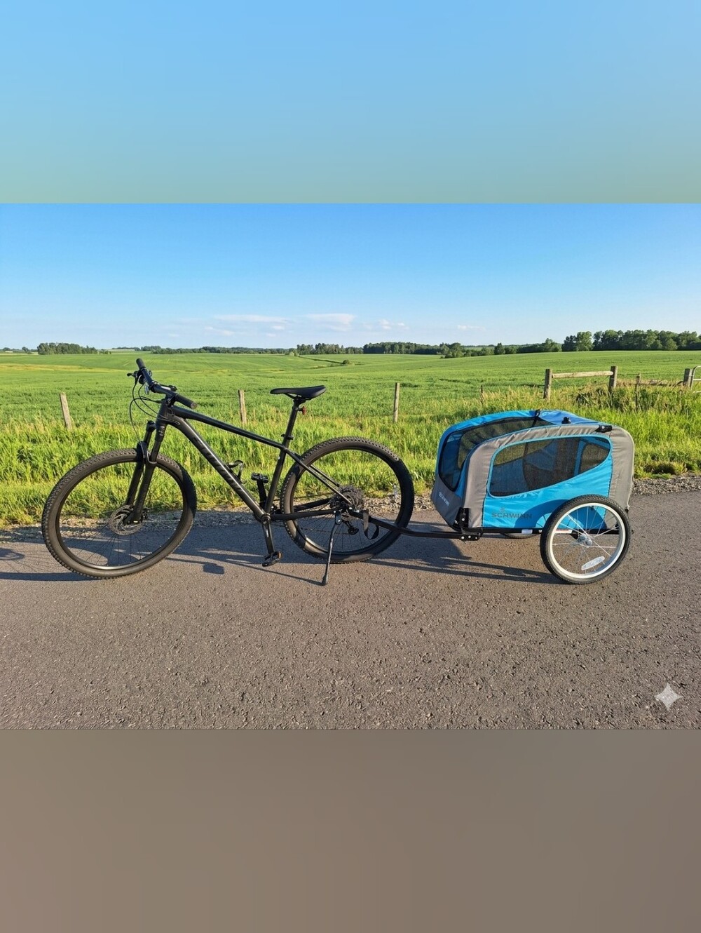 Blue Schwinn Pet Trailer